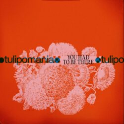 Philadelphia art-rock duo Tulipomania releases “You Had To Be There” with mysterious animated film